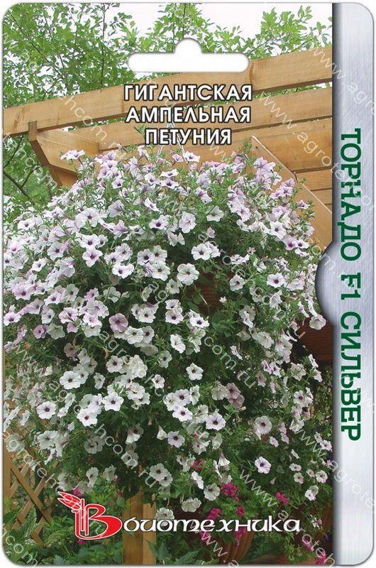 Петуния сильвер семена. Петуния Тайфун f1 Сильвер каскадная (Биотехника). Петуния ампельная Торнадо f1 Сильвер. Петуния Тайфун Сильвер Биотехника. Петуния Тайфун Сильвер Биотехника ц.