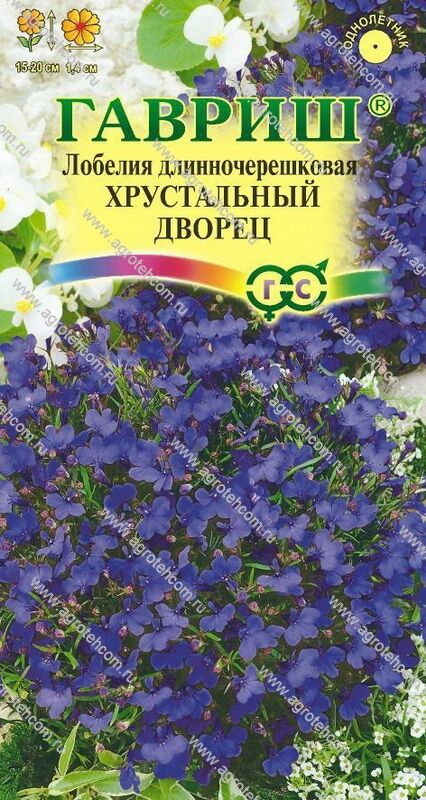 Лобелия Хрустальный дворец "Аэлита" 
